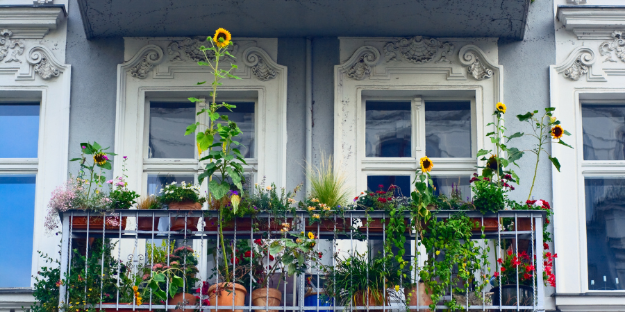 Pflanzen für halbschattige Balkone