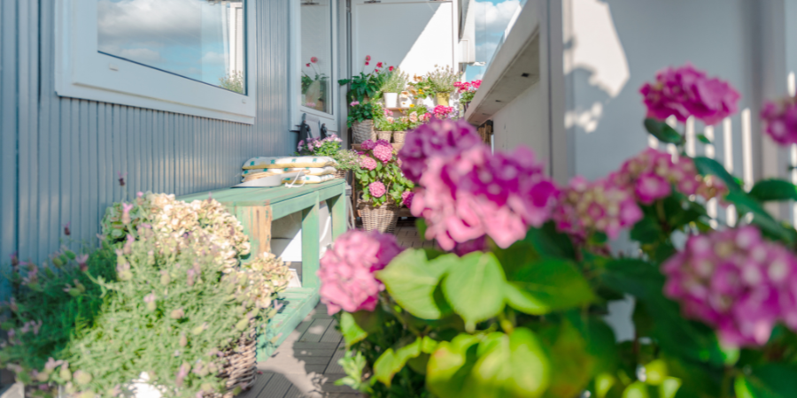Gemüse und Obst auf dem Balkon anbauen